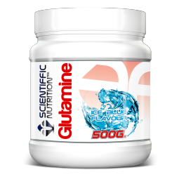 Glutamine 500gr
