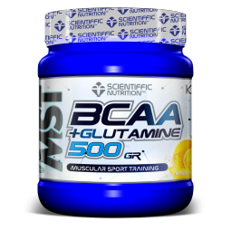 Glutamina + BCAA 500gr