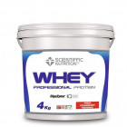 WHEY PROFESSIONAL PROTEIN 4KG